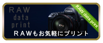 ＲＡＷデータプリント