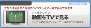 デジカメ動画をテレビで見る
